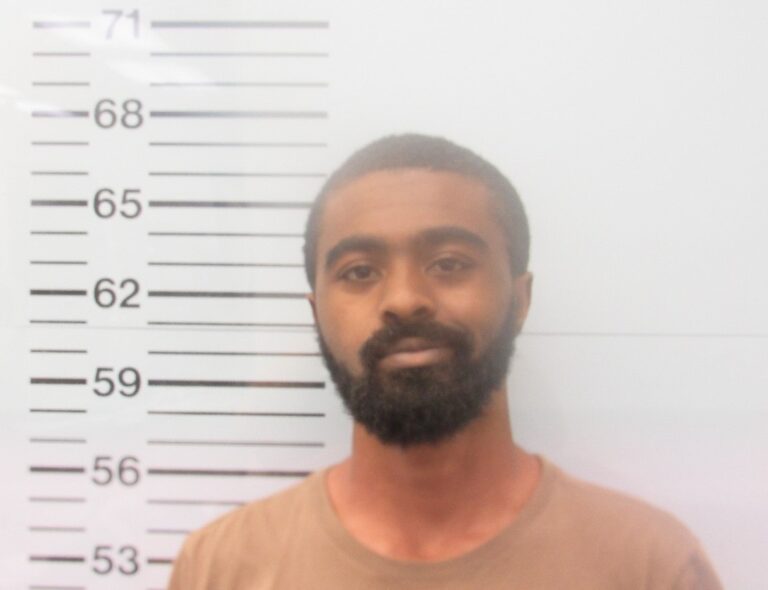 Stolen Wallet Leads to Felony Charge