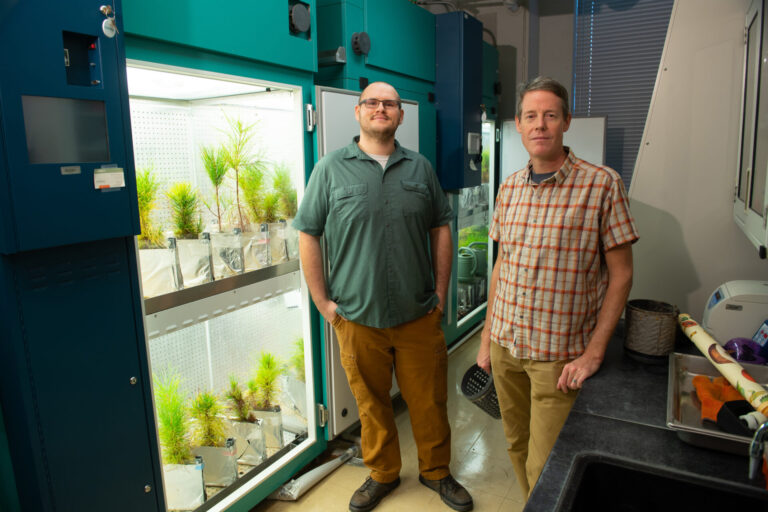 Can Trees Communicate Underground? Maybe Not