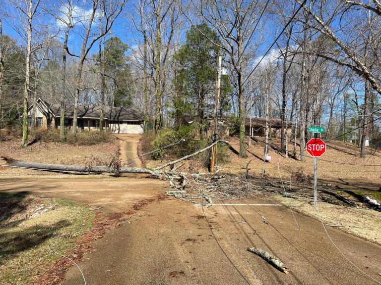 Oxford, Lafayette Sign Local Emergency Proclamations for March 3rd Wind Damage