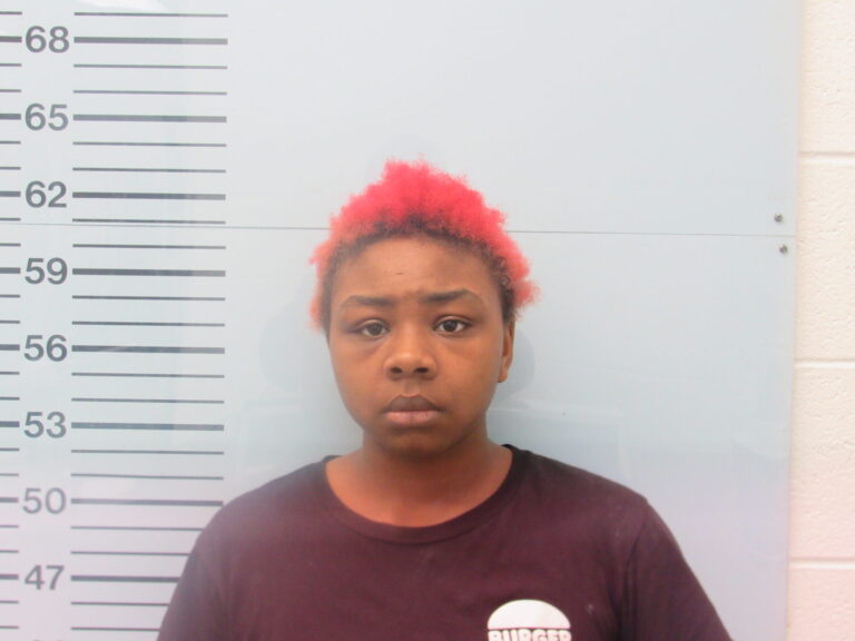 Fraudulent Check Results in Felony Charge