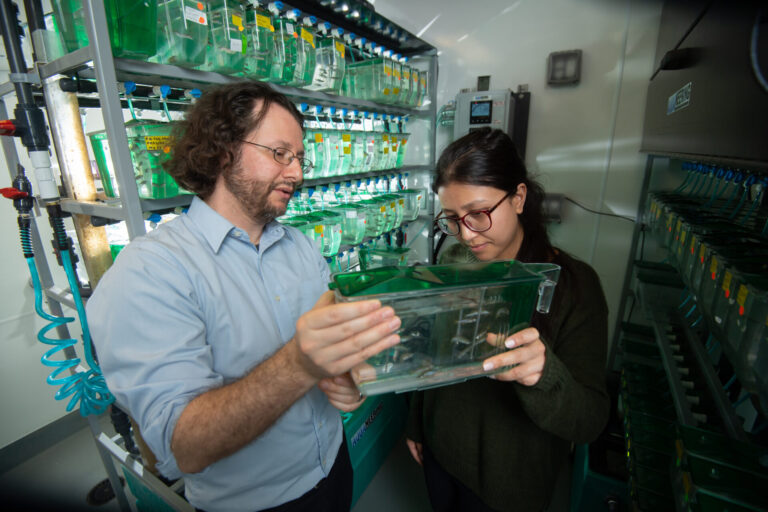 UM Study Could Provide Insight Into Origin of Heart Defects