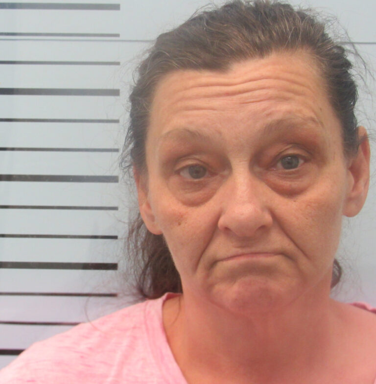 Harmontown Woman Faces Felony Burglary Charge