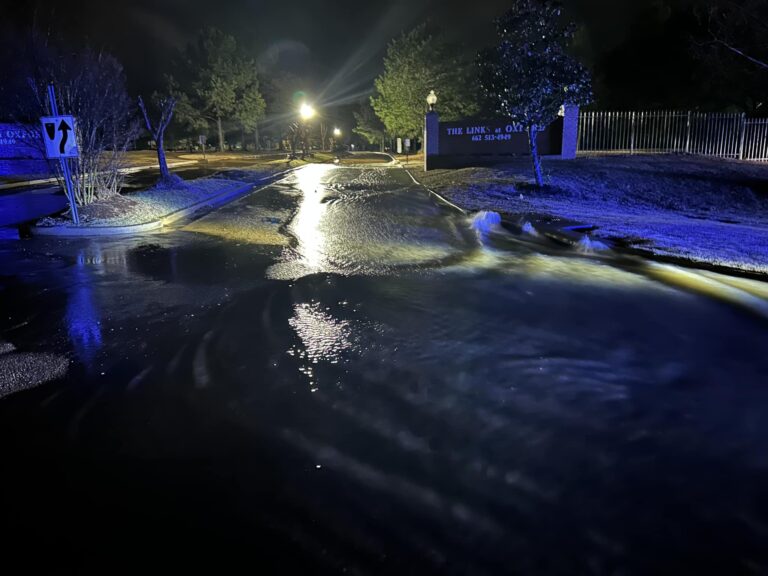 Storms Knocked Down Trees, Flooded Roads in the LOU Community; 24 Mississippians Killed in Other Areas