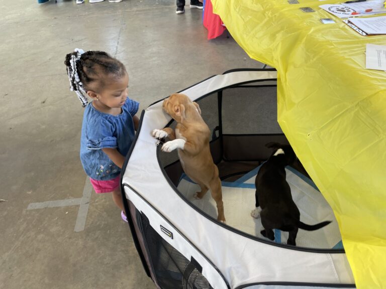 Photos: Stronger Together Celebrates Volunteers; Showcases Partnerships