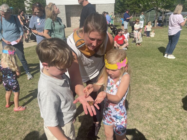 More than 800 Butterflies Were Released in Oxford Thursday