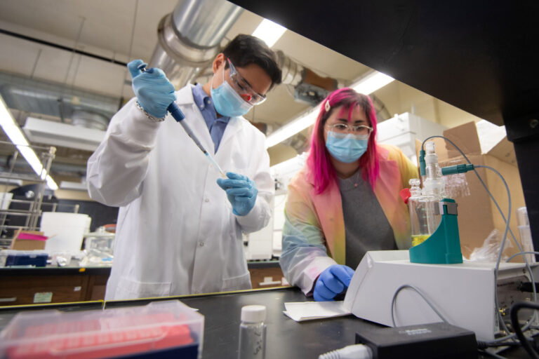 UM Chemistry Professor Receives National Science Foundation CAREER Award