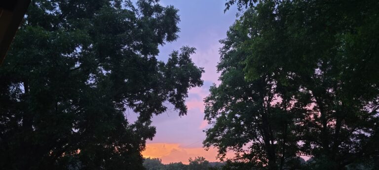 Sunday Night Storm Knocks Down Six Trees in Lafayette County