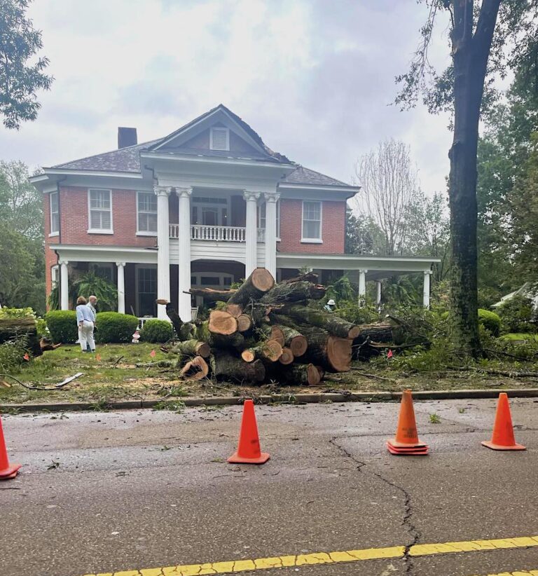 Early Morning Storm Wreaks Havoc in Oxford; Downs Several Trees