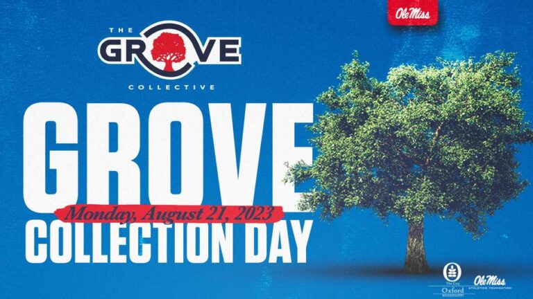 Grove Collective Announces Collection Day, Live Show on August 21