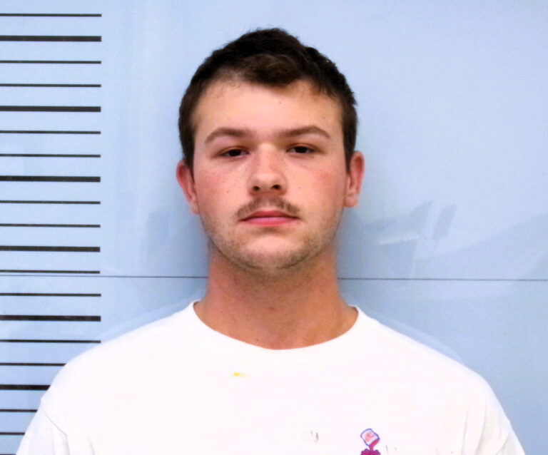Lafayette County Man Arrested on Car Theft Charge