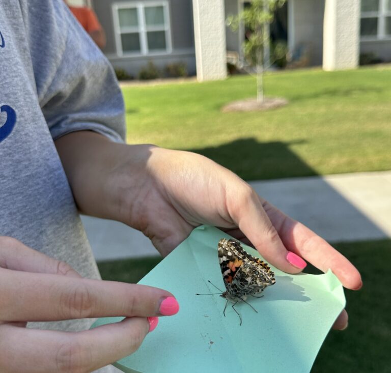 Photo Gallery: Beau Ridge at Oxford Farms Hosts Butterfly Release