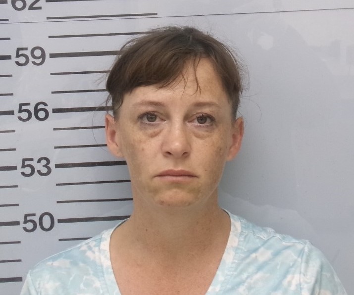 Oxford Woman Faces Felony Child Endangerment Charge