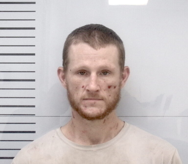 Oxford Man Faces Felony Domestic Assault Charge