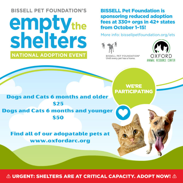 Bissell’s ‘Empty the Shelters’ Event Helps Lower Adoption Fees at Oxford ARC