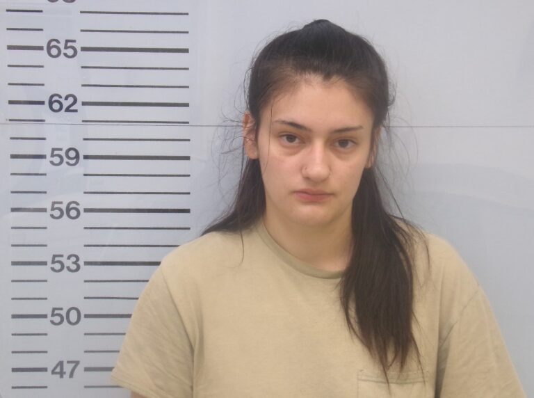 Como Woman Faces Vehicle Theft Charge
