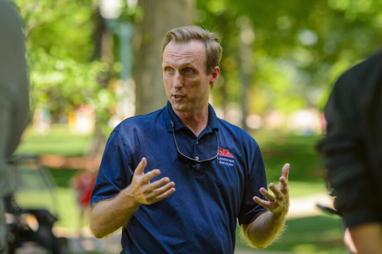 Chandeliers, Sunglasses and Cake: What’s Left After a Grove Party?