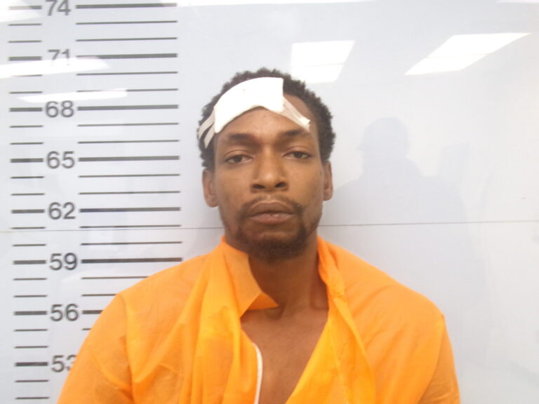 Phillips Given $2M Bond After Being Charged With Murder of Bailey Reed