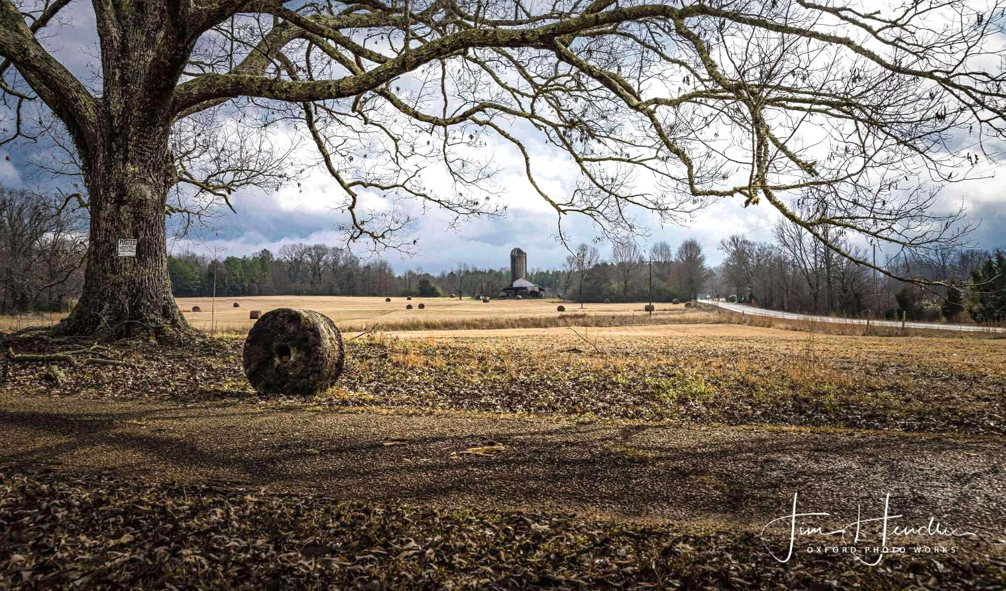 Large oak tree overlooking a rural field with hay bales, a distant barn and silo under a partly cloudy sky.
